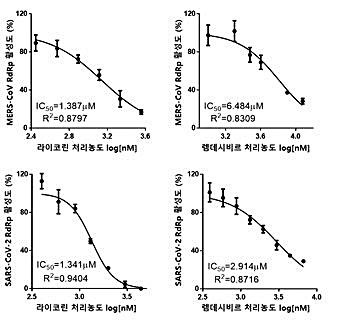 [대전=뉴시스] 렘데시비르와 비교한 라이코린의 MERS-CoV 중합효소 및 SARS-CoV-2 중합효소 저해 효능. 라이코린의 MERS-CoV 중합효소 저해 효력 및 SARS-CoV-2 중합효소 저해 효력은 렘데시비르 대비 각 4.5배, 1.8배 강력한 것으로 확인됐다. *재판매 및 DB 금지