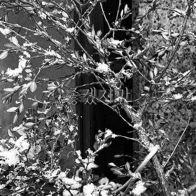 [서울=뉴시스] 박진 신곡 앨범. 2022.01.28.(사진=JMG(로컬하이레코즈)제공) photo@newsis.com*재판매 및 DB 금지 *재판매 및 DB 금지