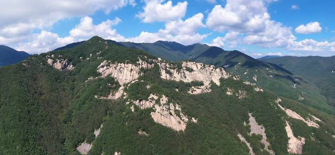 경남 밀양시 백운산의 모습 (사진=밀양시)