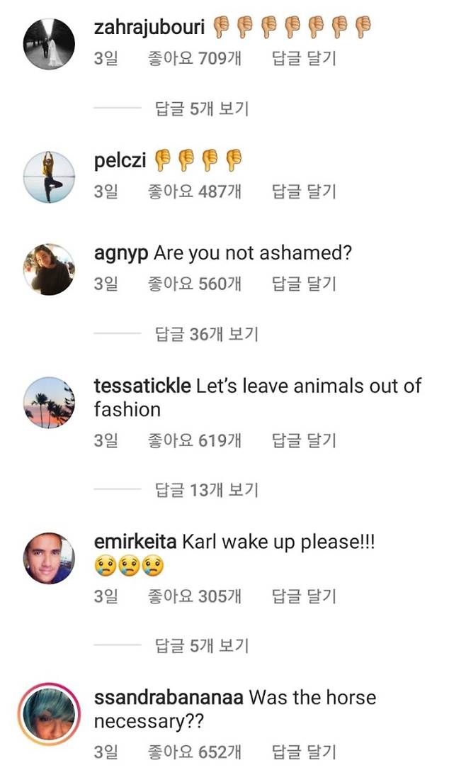 샤넬 공식 인스타그램에 카시라기가 런웨이에서 말 타는 영상이 올라오자 네티즌들은 일제히 비난 댓글을 달았다.