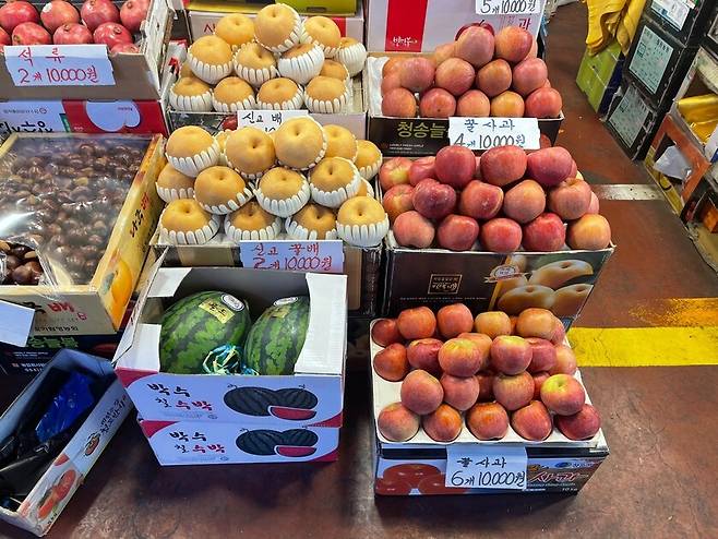 서울 마포 농수산물 시장에 진열된 과일들. 대형마트에 비해 포장 판매 비율이 확연히 적다. 김민제 기자