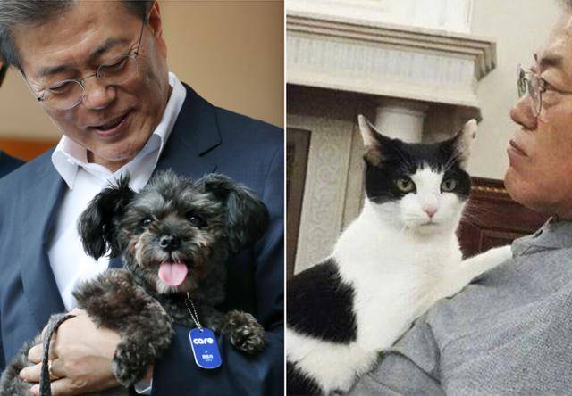문재인 대통령의 곁을 지키고 있는 반려견 '토리(왼쪽)'와 반려묘 '찡찡이'. 청와대 제공