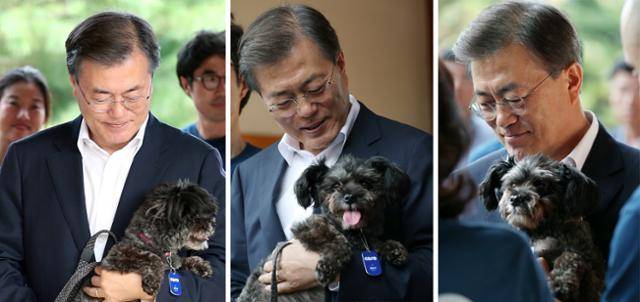 2017년 7월 26일 문재인 대통령이 청와대 관저앞 인수문에서 동물권단체 ‘케어' 로 부터 검정색 털의 유기견 ‘토리’를 건네 받았다. 4살이 된 ‘토리’는 남양주 폐가에서 구출돼 2년 동안 새주인을 기다리던 유기견으로 청와대 첫 유기견 출신 ‘퍼스트 도그’가 된 것이다. 청와대제공