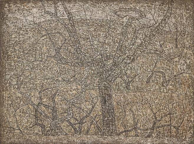 박수근 ‘꽃피는 시절'(1961). 얼핏 앙상한 가지만 남은 헐벗은 나무처럼 보이지만, 실제 작품을 자세히 보면 그 속에 분홍 꽃잎과 연둣빛 이파리를 품고 있다. 박완서의 표현대로, “봄에의 믿음”을 간직한 겨울나무이다. /개인 소장