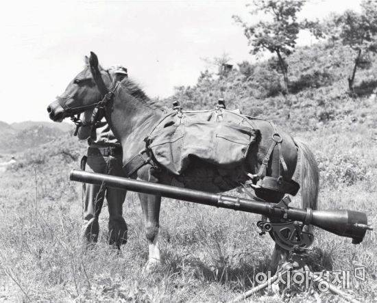 6.25 전쟁 네바다 전초 기지 전투 당시의 레클리스 [연천군]