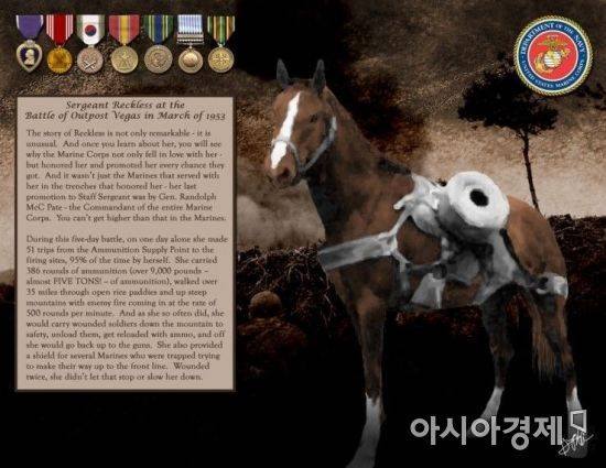 여러 훈장을 수여받은 레클리스 [연천군]