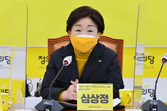 - 심상정 정의당 대선후보