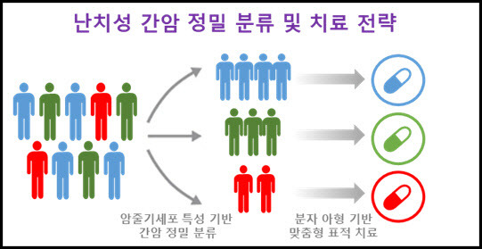 암 줄기세포 특성을 기반으로 간암 유형을 구분해 맞춤형 표적 치료 전략을 시행할 수 있다.