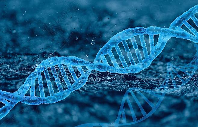 사회적 환경은 인간의 DNA 서사를 바꾼다. 유전자가 선택권이 있다면 다정하지 않은 엄마보다 다정한 엄마를 더 선호할 것이다.