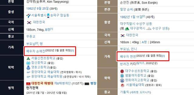 손예진, 현빈의 프로필. 나무위키 캡처