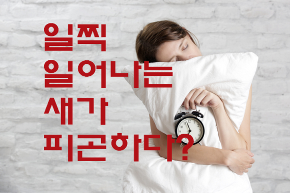 [사진=게티이미지뱅크]