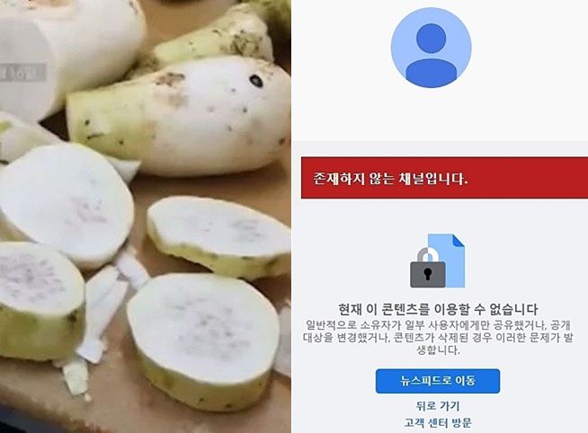 한성식품 자회사 공장에서 손질하던 곰팡이 핀 무. 오른쪽은 유튜브(위)와 페이스북 계정이 삭제되거나 비공개로 전환된 모습. /MBC, 유튜브, 페이스북