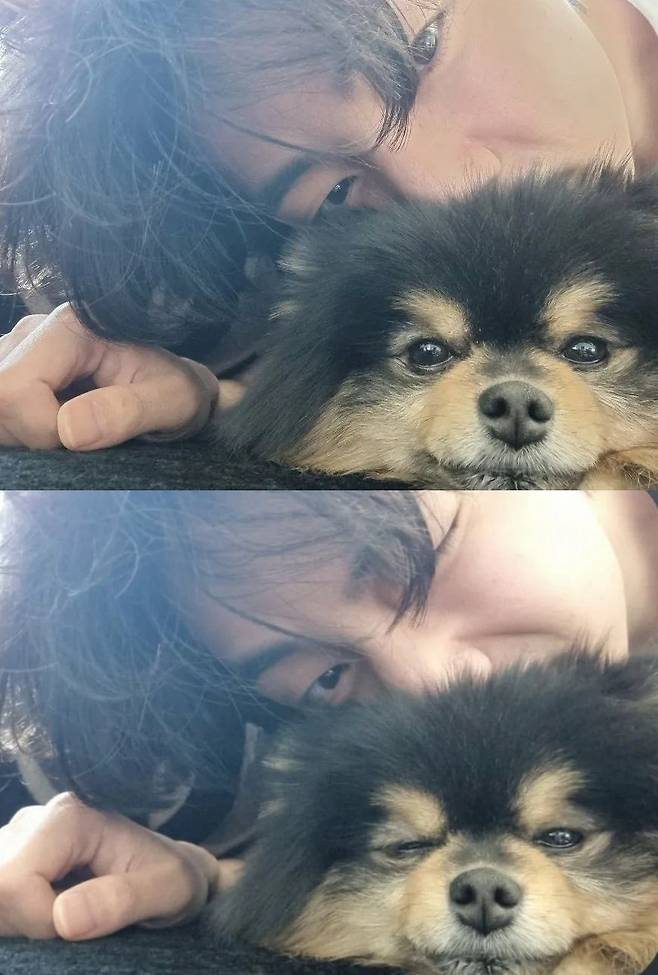 인스타 열공 김다정씨♡ 방탄소년단 뷔, 무물→연탄이와 투샷