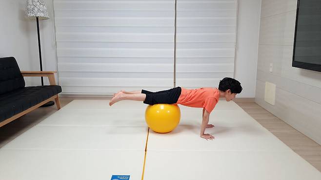 짐볼 위에서 버티거나 몸을 앞뒤로 움직이는 활동은 전신 근력을 키워준다. 사진 블루무스 출판사 제공