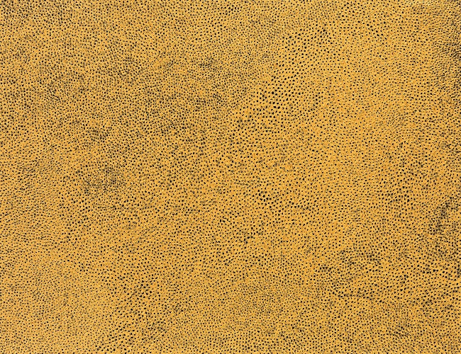 쿠사마 야요이의 `Gold-Sky-Nets`(캔버스에 아크릴, 112×145.5㎝, 2015년, 낙찰가 36억5000만원). /사진 제공=서울옥션