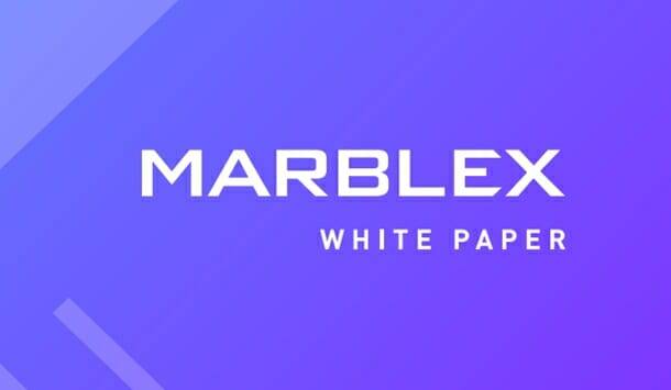 넷마블의 블록체인 MBX 생태계를 엿볼 수 있는 백서가 공개됐다.