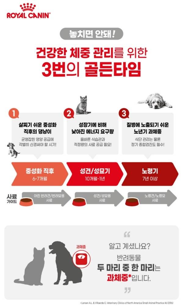 반려견 비만은 각종 질병을 유발할 수 있어서 관리가 필요하다.(로얄캐닌 제공) © 뉴스1