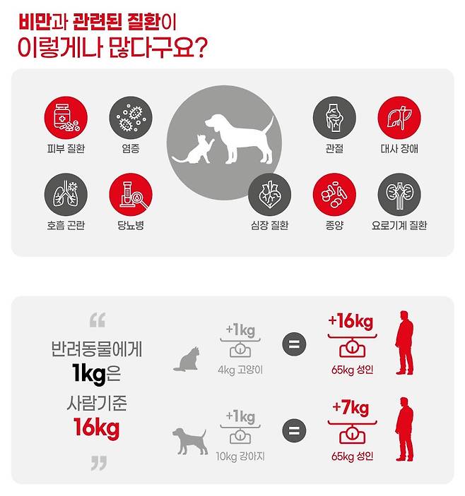 반려견 비만은 각종 질병을 유발할 수 있어서 관리가 필요하다.(로얄캐닌 제공) © 뉴스1