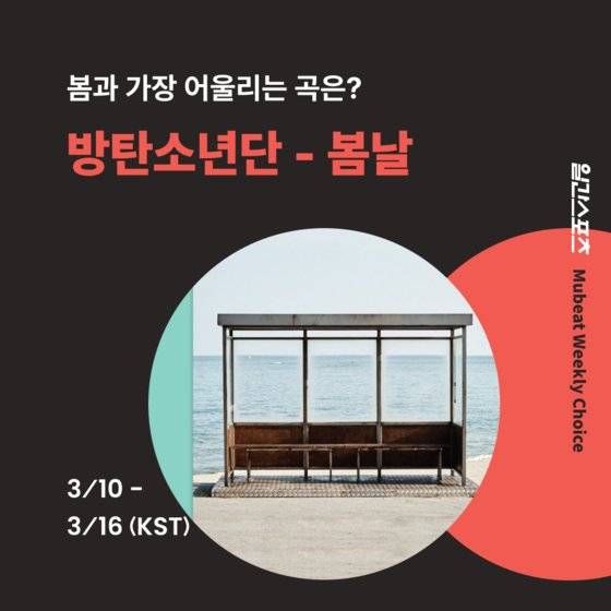 일간스포츠X뮤빗