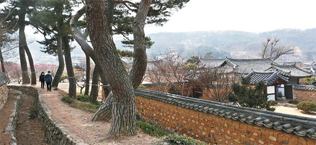 인흥마을의 고택 담장을 끼고 이어지는 골목길.