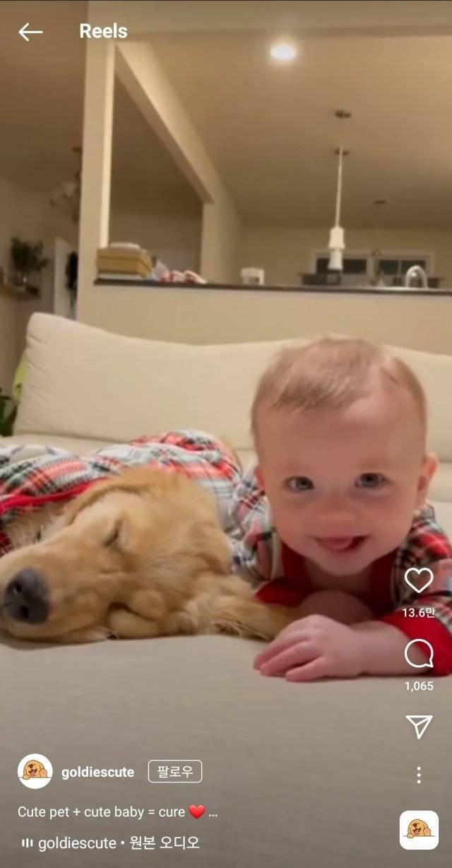 인스타그램 ‘릴스’. 인스타그램 캡처