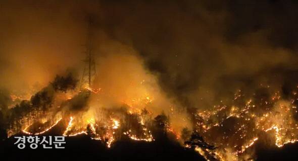 지난 4일 경북 울진 등지에서 발생한 산불이 송전탑 사이로 번지고 있다. 녹색연합 제공