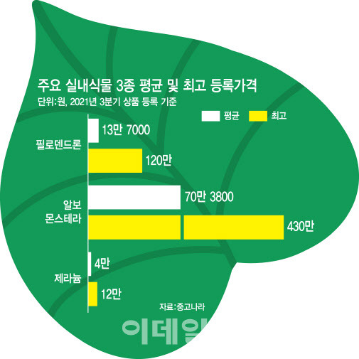 (그래픽= 김정훈 기자)