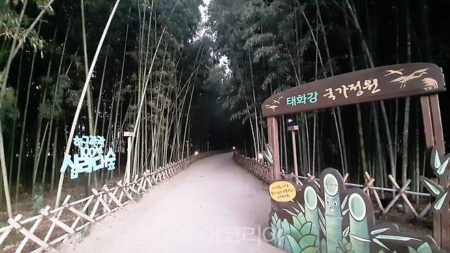 태화강국가정원