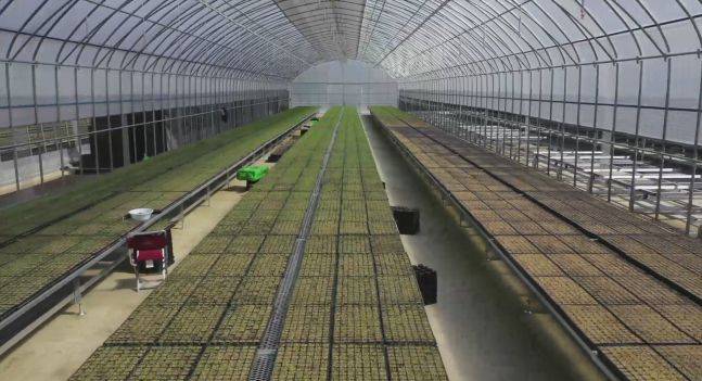 남북산림협력센터의 스마트 양묘장의 모습. /통일부 홈페이지 캡처