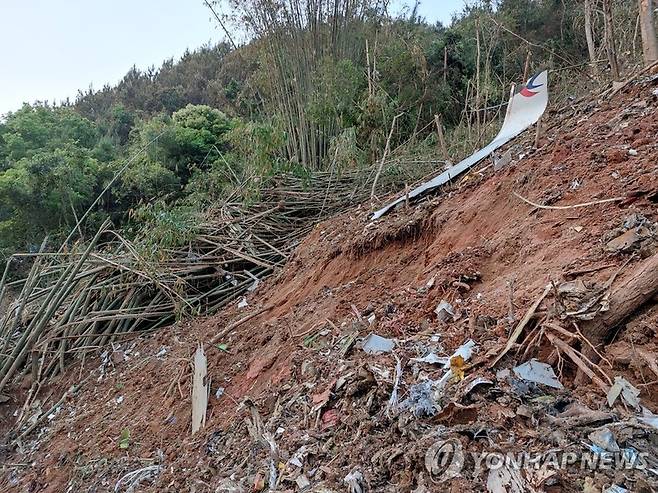 21일 중국 여객기가 광시좡족자치구 우저우 텅현 인근 산악 지역에 추락하면서 사고기의 잔해가 널려 있다. / 사진 = 연합뉴스