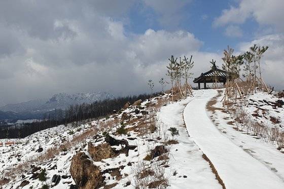 이달 20일 경기의 숲에 눈이 쌓인 모습. 멀리 설악산 울산바위가 보인다.