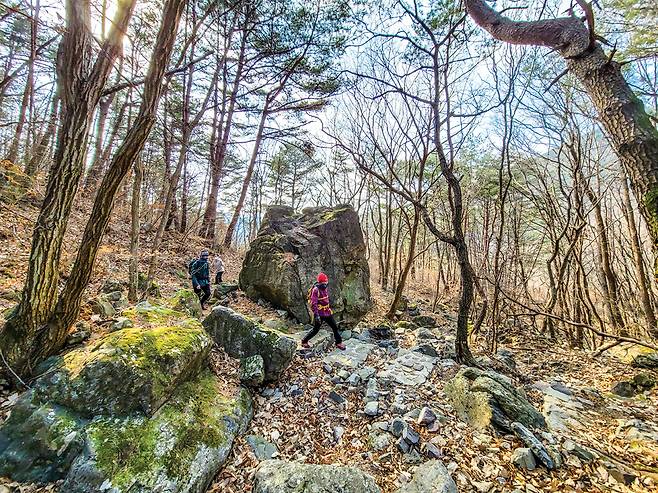 내조마을 산상곡소류지에서 달분재로 향하는 숲길. 커다란 바위와 이끼가 삭막한 계곡에 운치를 더해 준다.