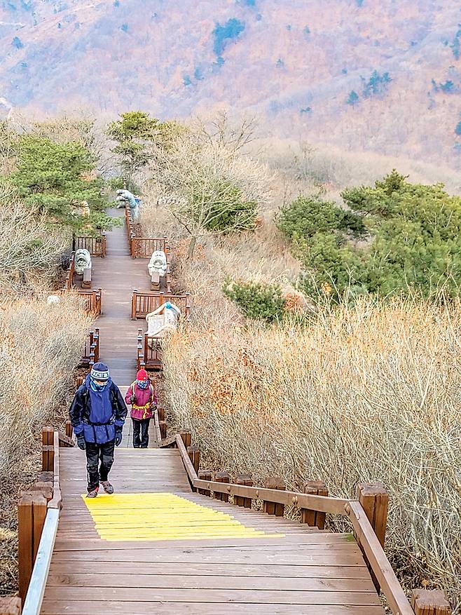 한우산 철쭉도깨비숲을 유람하는 나무데크 길. 한우산 숨길 중 하나로 철쭉설화원이라 불린다. 설화를 테마로 한 스토리텔링이 다양한 조형물로 표현돼 있다.