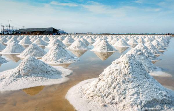 지구상의 모든 바닷물을 증발시키면 지구 전체는 140ｍ 두께의 소금층으로 덮이게 된다.