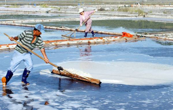 바닷물에는 여러 가지 광물자원이 녹아 있지만 35‰의 소금 외에는 농도가 너무 낮아 경제적 가치가 부족하다. 충남 태안군 염전에서 어민이 천일염을 생산하고 있다.
