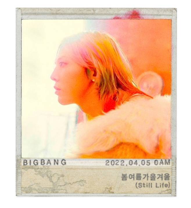 YG엔터테인먼트 제공