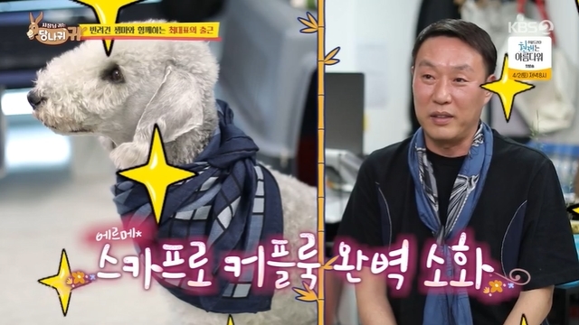 A representative appeared every week for a luxury scarf to Ban Kwa-ryun.In the 149th KBS 2TV entertainment Boss in the Mirror (hereinafter referred to as The Ass ear) broadcast on March 27, Choi Eun-ho, the representative of the fashion event planning company, who has been in the fashion industry for 22 years, joined as a new boss.On the same day, Choi went to work with her dog Gemma, who loved her blood and model, and enjoyed wearing a couple of Gemmas.If you have something similar to your clothes, you always buy them.Then MCs noticed that the scarf that Gemma was wearing this time was the luxury H company, and Kim Byung-hyun was surprised to say, Dog? Dog?Jun Hyun-moo was also surprised, saying, Does the dog have a luxury company H? Kim Sook responded, We want to be Gemma.Jun Hyun-moo asked MCs, Who has a luxury scarf here at H? No one raised their hands.Kim Byung-hyun said, I gave you a gift, but I have never done it.Jun Hyun-moo lamented that his dog is a few million ones.