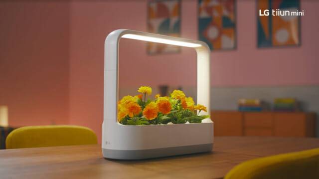 LG 틔운 미니 광고 영상 속 장면 (사진=LG전자)