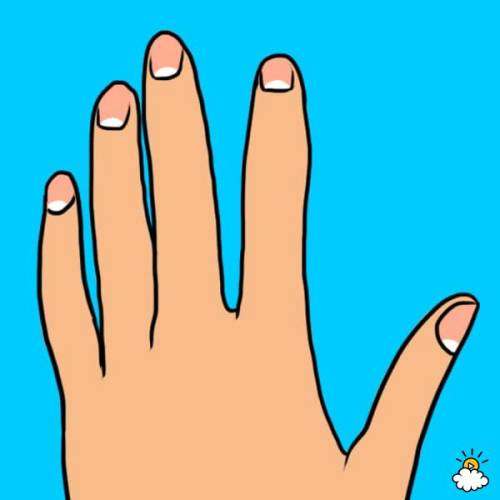 Tayra Lucero for LittleThings