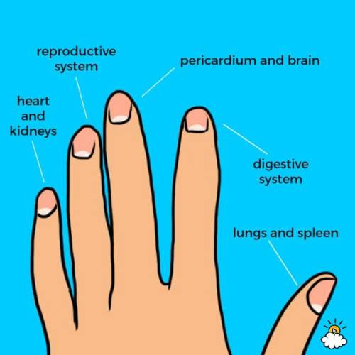 Tayra Lucero for LittleThings