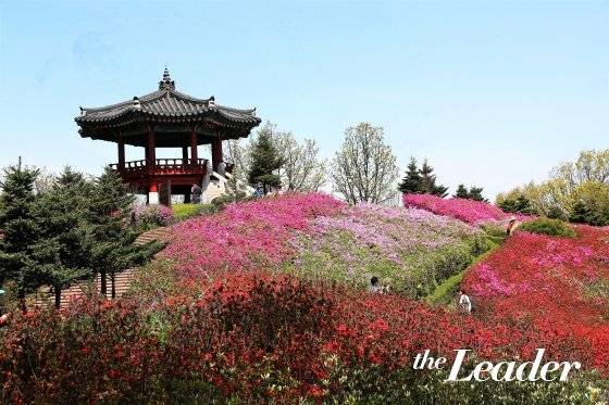 ▲도덕산의 도덕정은 영산홍과 철쭉이 만발하는 4월 말이 되면 더욱 아름다운 풍경을 볼 수 있다./사진=광명시청 제공