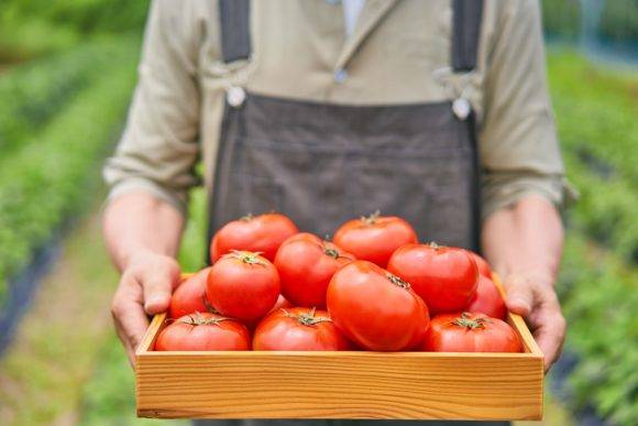 [사진=게티이미지뱅크]