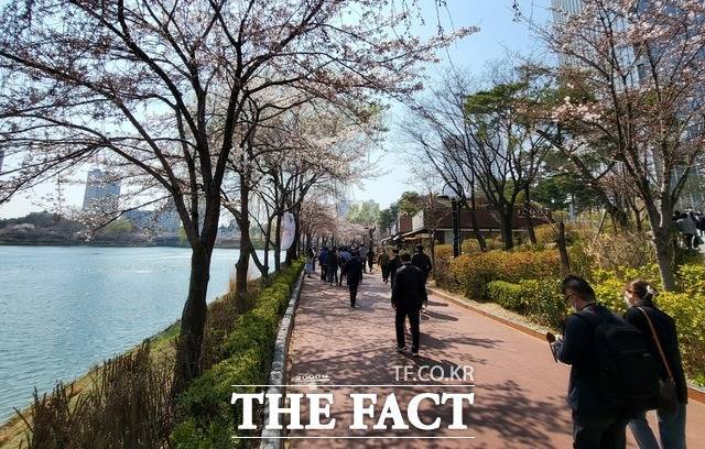 한 노부부는 '임영웅' 노래를 틀어 놓고 석촌호수 벚꽃길 벤치에 앉아 대화를 나눴다.