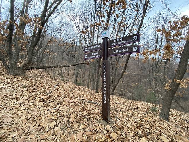 광릉숲 생물권 보전지역 둘레길임을 알리는 이정표가 있었다.