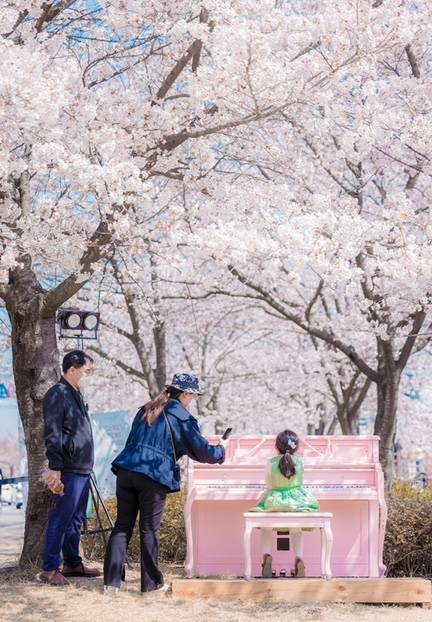 '여행하는 피아노' 행사 [구미시 제공. 재판매 및 DB 금지]