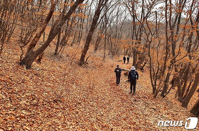 용암문에서 대동문 가는 길. 춘사월이지만, 고지대 등산로는 아직 갈색낙엽에 뒤덮힌 가을 풍경이다 © 뉴스1