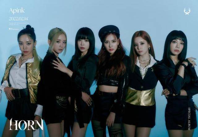 그룹 에이핑크(Apink)가 멤버 손나은의 탈퇴를 알리며 5인조로 팀을 재편한다. IST엔터테인먼트 제공