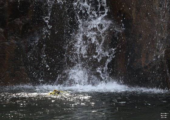 검찰이 보험금을 노리고 남편을 살해한 피의자 이은해(31)와 조현수(30)에 대해 수배 전 출국금지 조치를 내렸으나 4개월째 행방이 묘연한 상태다. 법조계에 따르면 검찰은 살인 및 살인미수 등 혐의를 받고 있는 이씨와 조씨에 대해 지난달 30일 공개수배하기 전 출국금지 조치했다.   검찰은 이들이 해외로 출국한 기록이 없는 것을 확인하고 국내에서 이들의 행적을 쫓고 있다.  사진은 사건이 발생한 경기 가평군 용소폭포에서 취재진이 수중 카메라를 이용해 수심을 측정하는 모습. 뉴스1