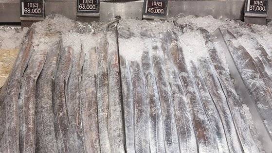 6일 서울 강남의 대형 백화점 식품관에서 판매된 왕갈치. 특대 1마리가 6만8000원이었다. 김민상 기자.
