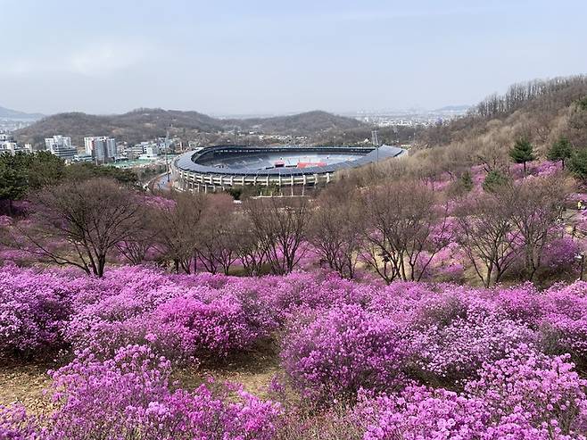 경기둘레길 부천 55코스 진달래사진 (사진=경기도 제공) *재판매 및 DB 금지